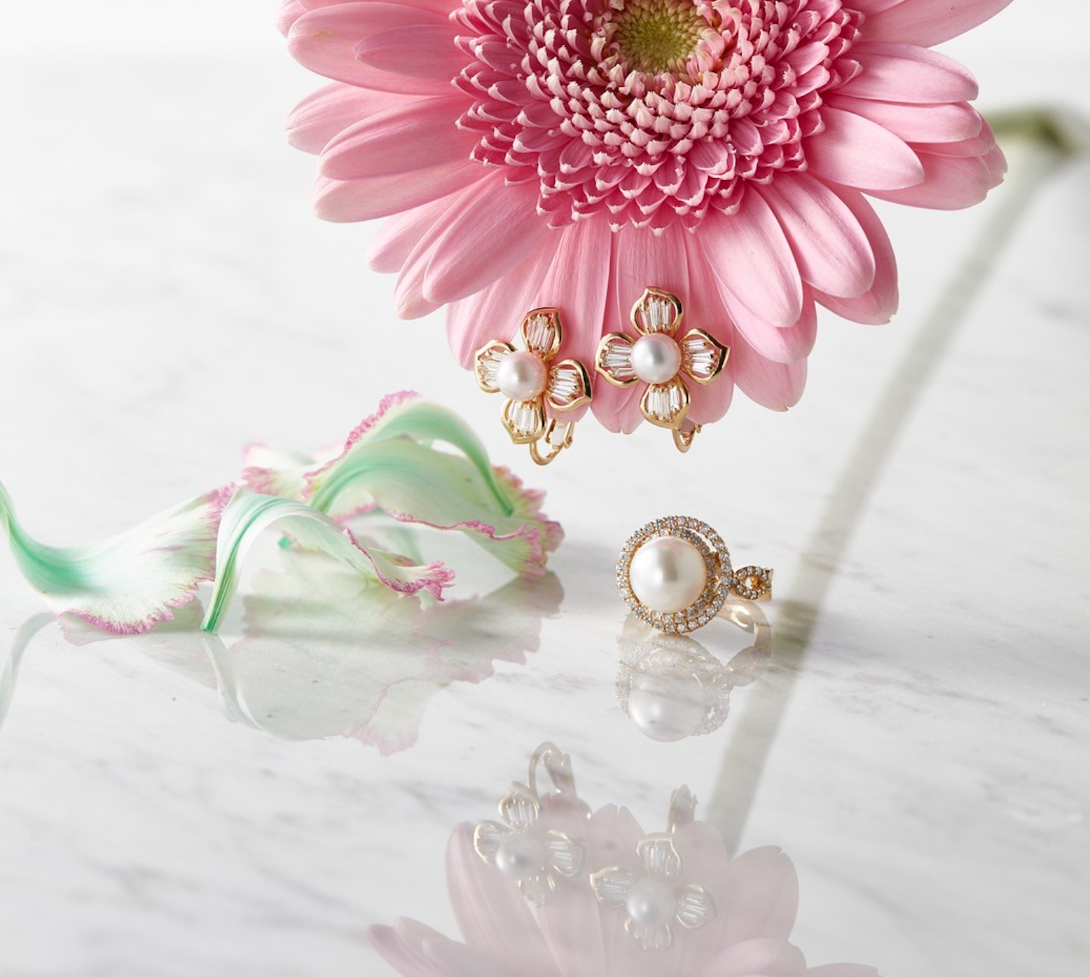 【7月の外商スケジュール】夏限定🌻のお得なキャンペーンがスタート💎