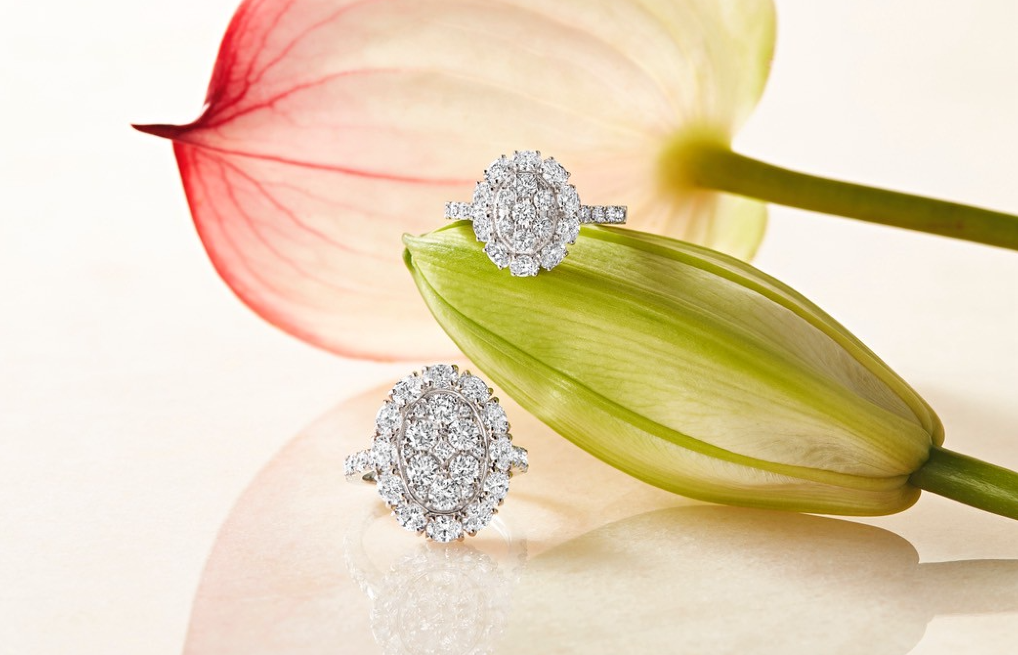 GINZA XIAOMA✨POP UPコレクション