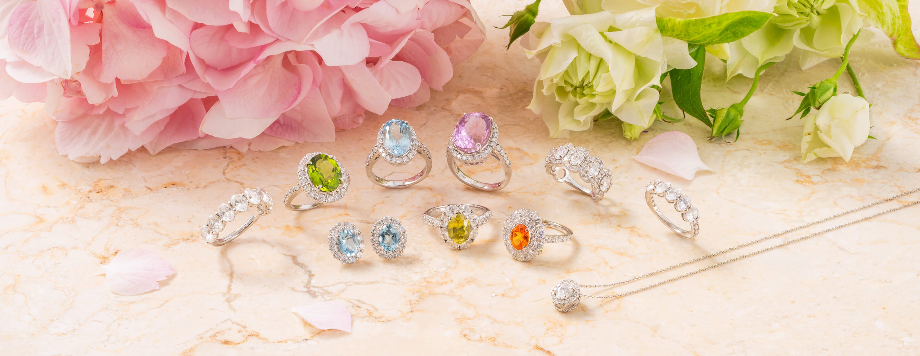 シェイプ - OV / オーバル