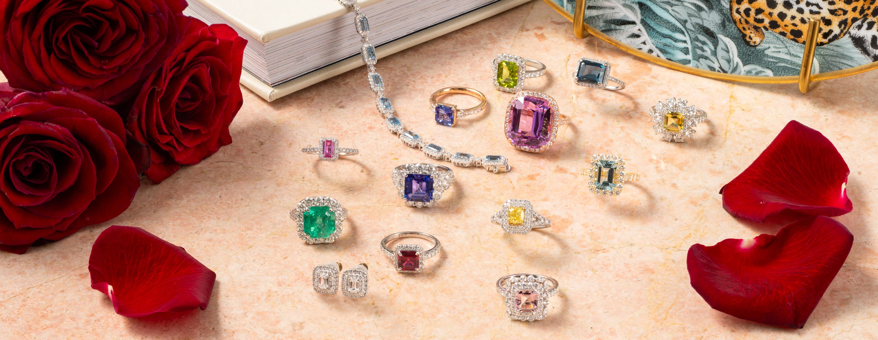 シェイプ - SQ / スクエア