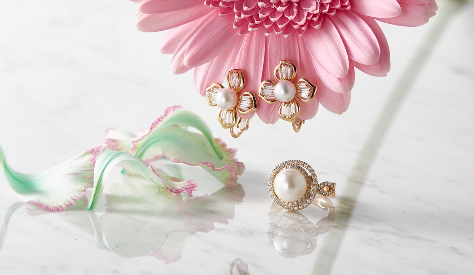 AYAKO SAKURAI（櫻井 彩子）公式サイト