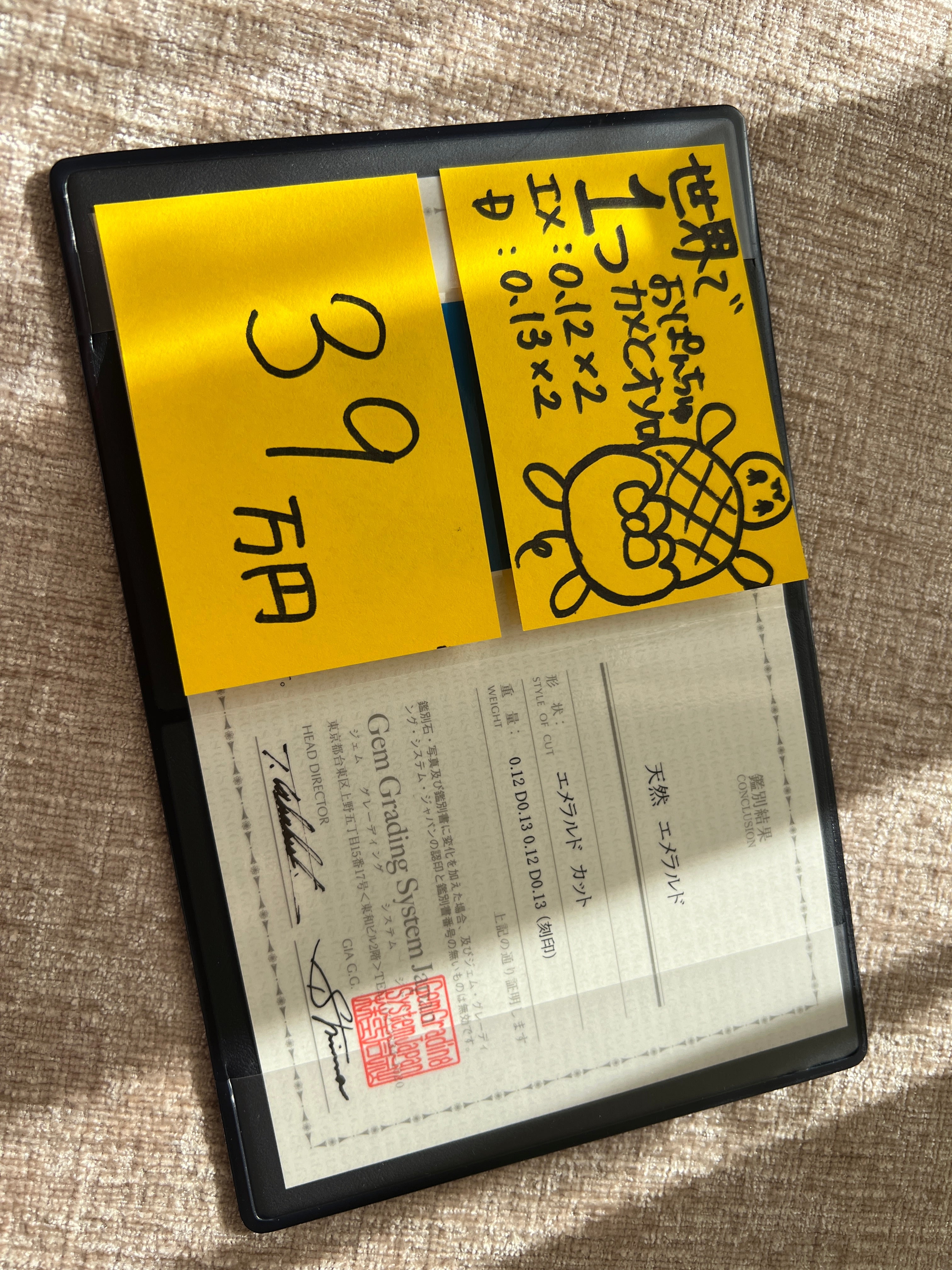 78-世界で1つおぱんちゅカメとオソロ（エメラルドピアス）〜あやちゃんとお揃いは世界に1人だけシリーズ｜AYAKO SAKURAI（櫻井 彩子（サクライ アヤコ））公式通販サイト