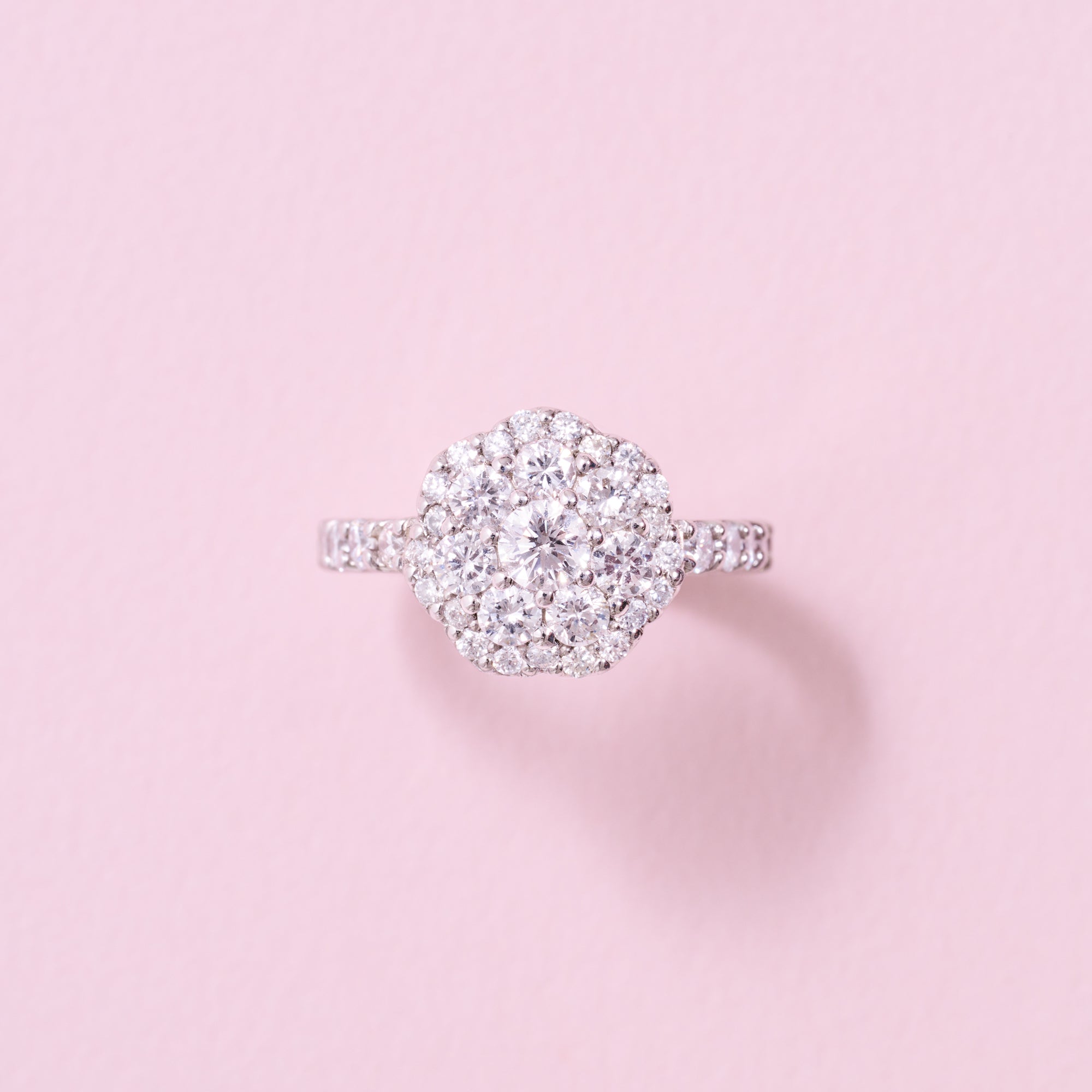 AYAKO SAKURAI（櫻井 彩子）公式サイト