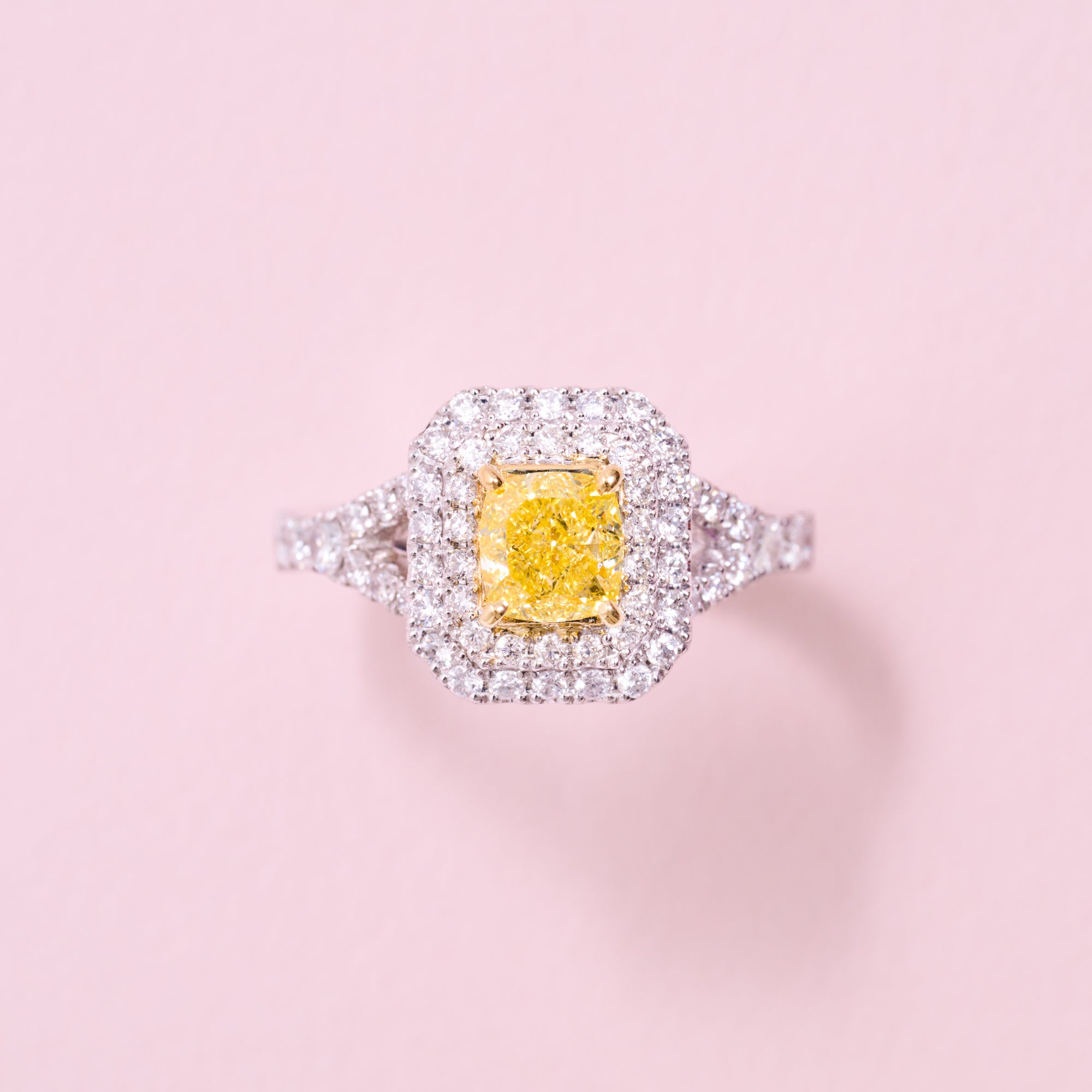 AYAKO SAKURAI（櫻井 彩子）公式サイト