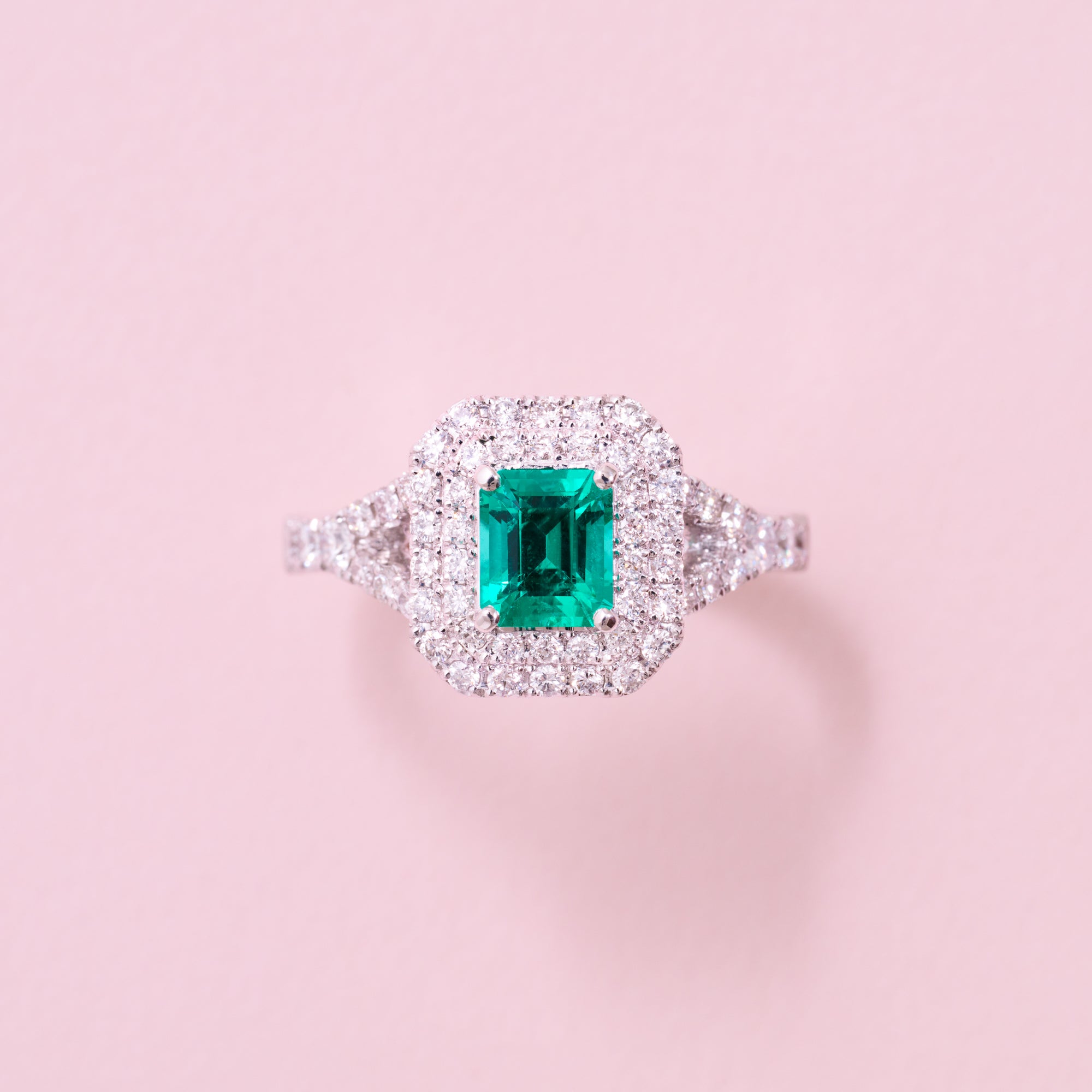 AYAKO SAKURAI（櫻井 彩子）公式サイト