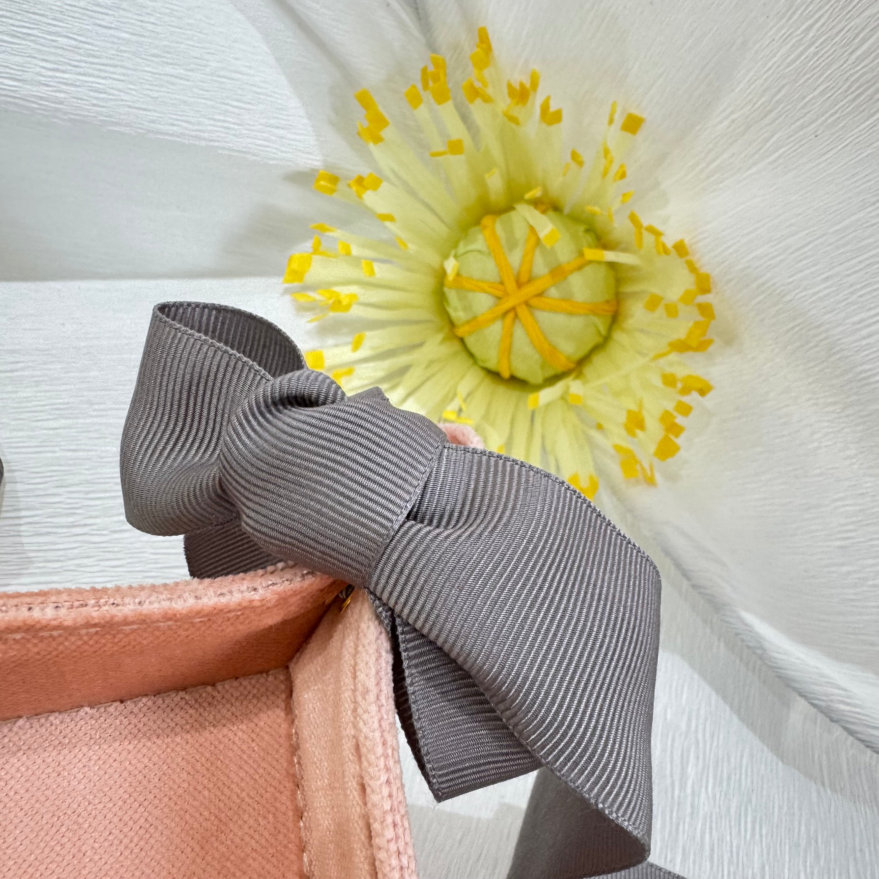 ルビーの水遊び