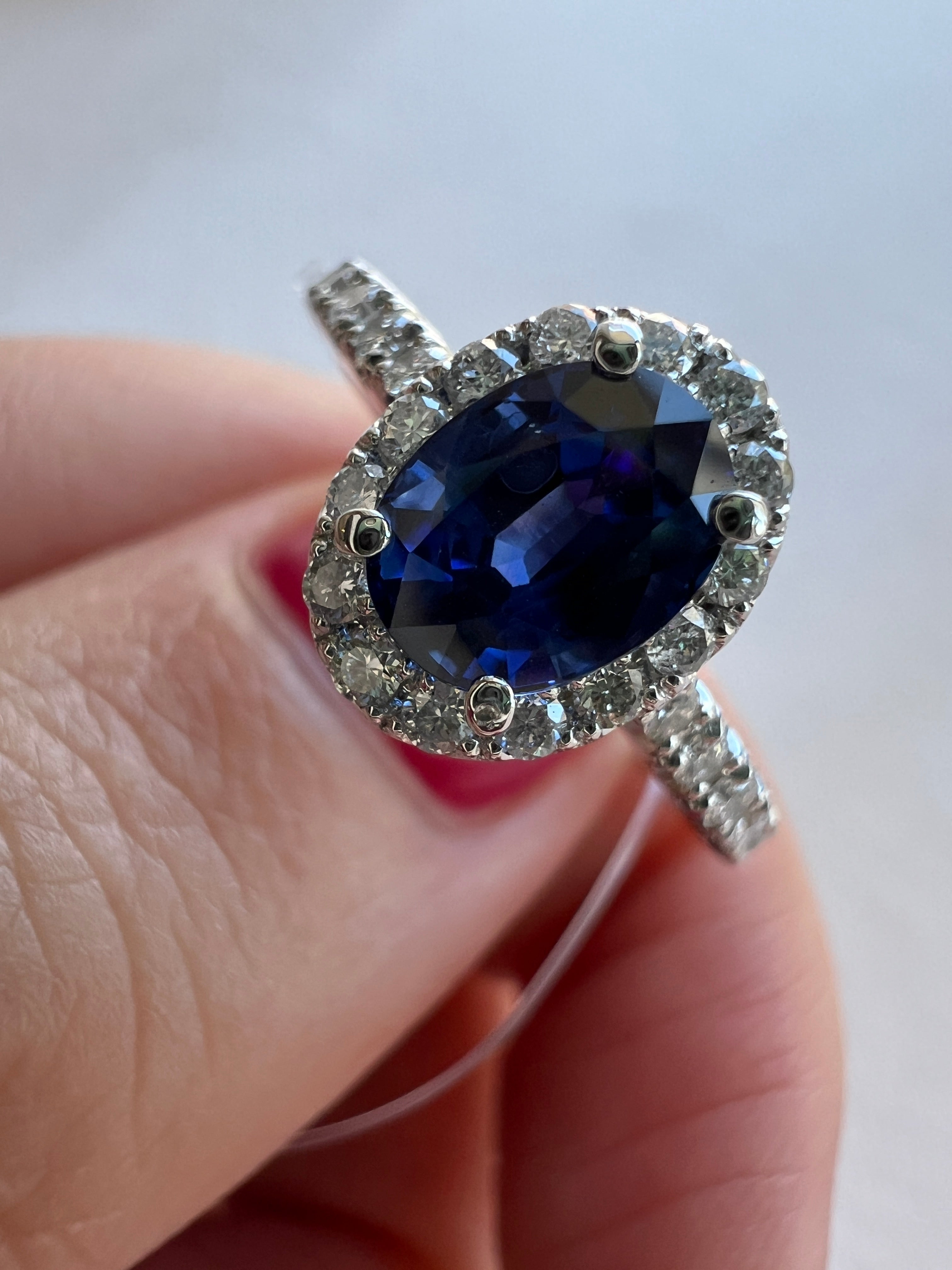 サファイアの散歩道