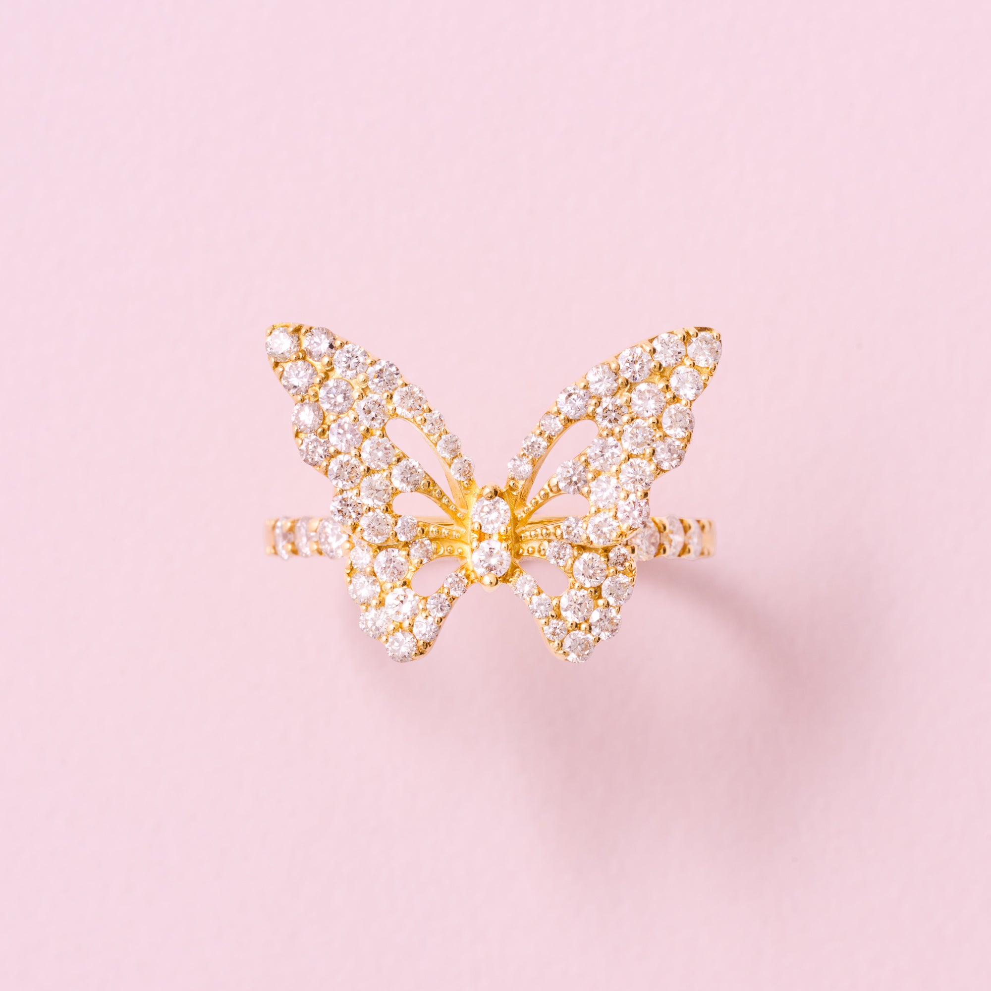 AYAKO SAKURAI（櫻井 彩子）公式サイト