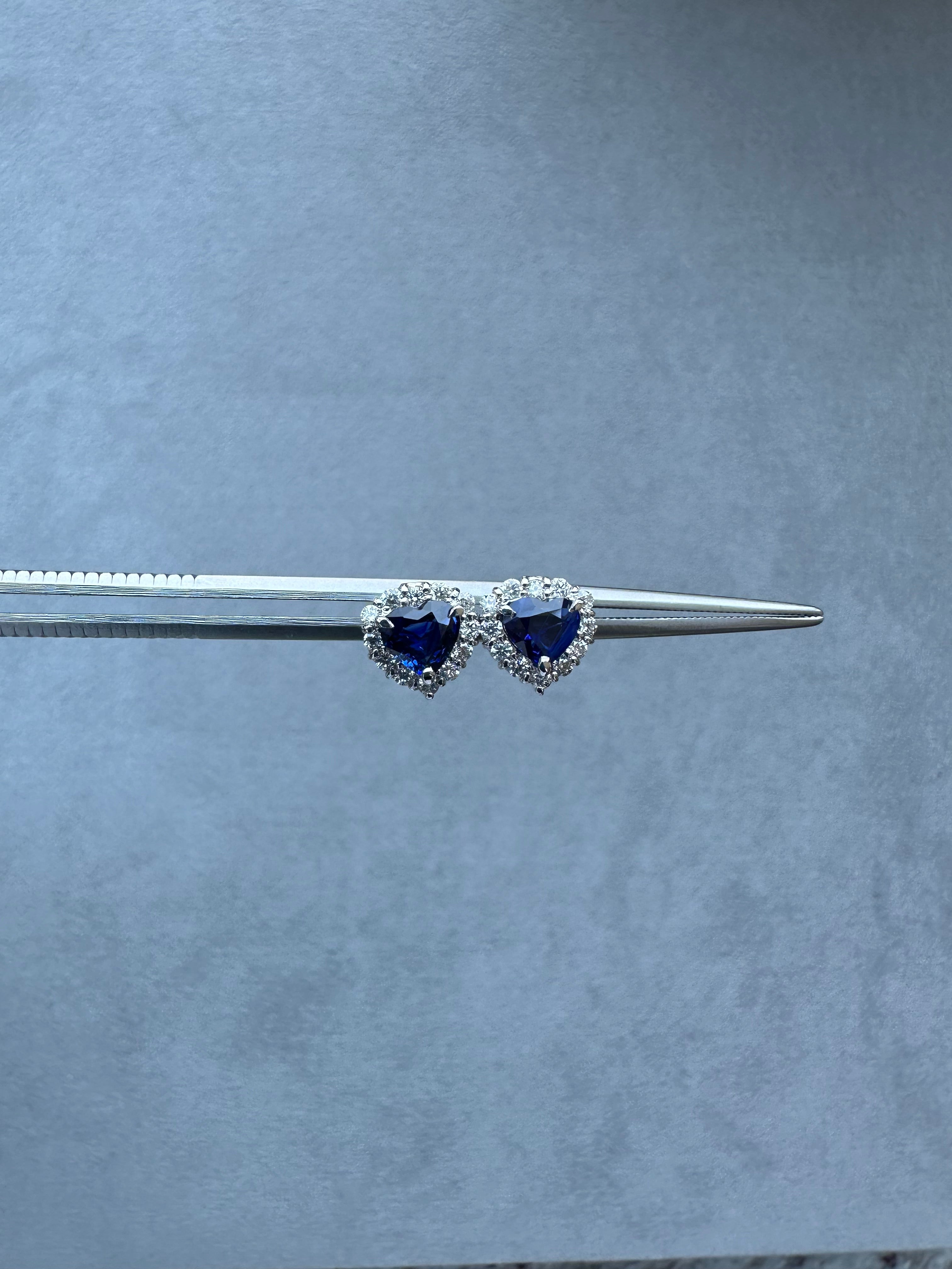 サファイアの散歩道