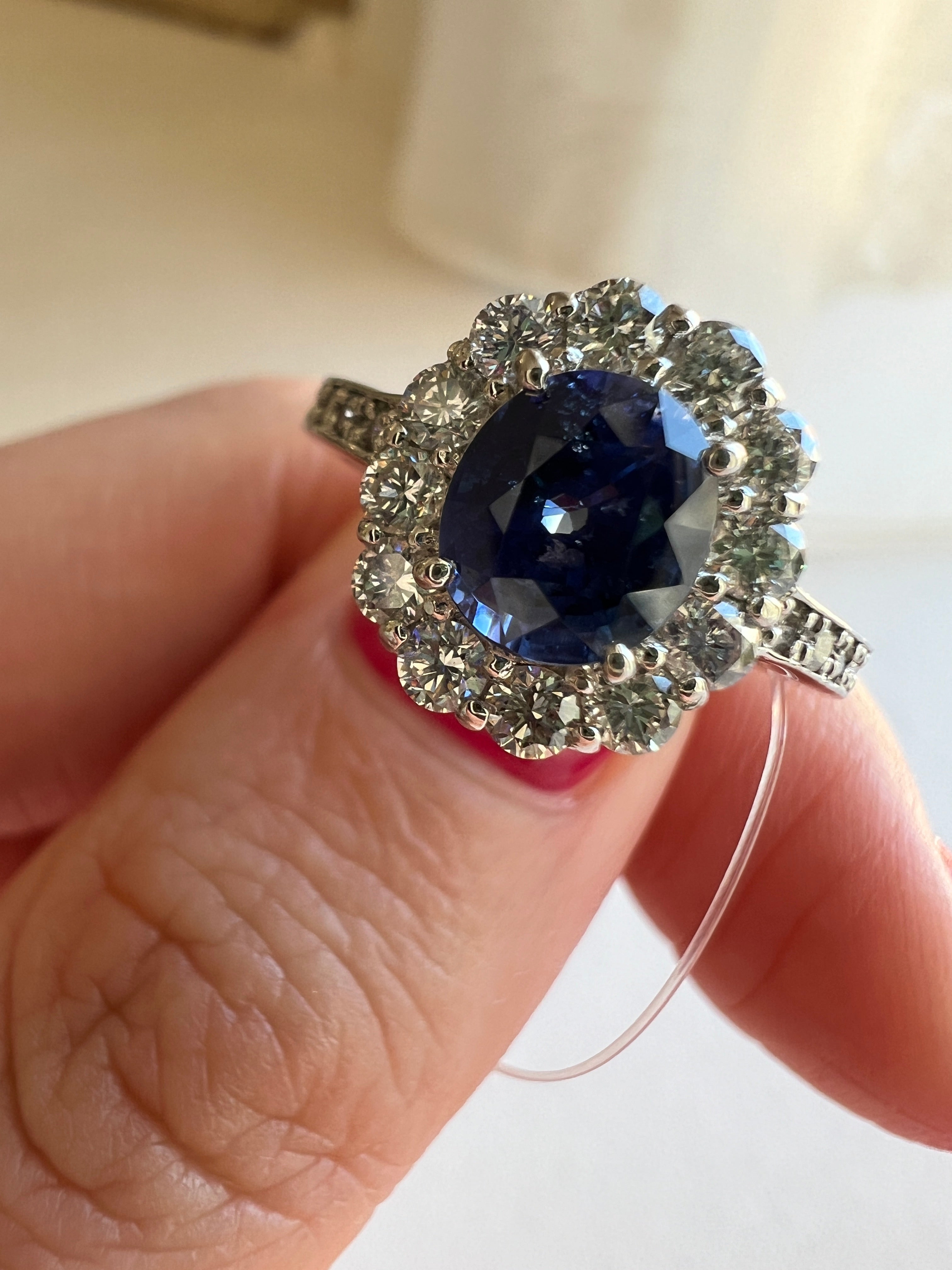 サファイアの散歩道