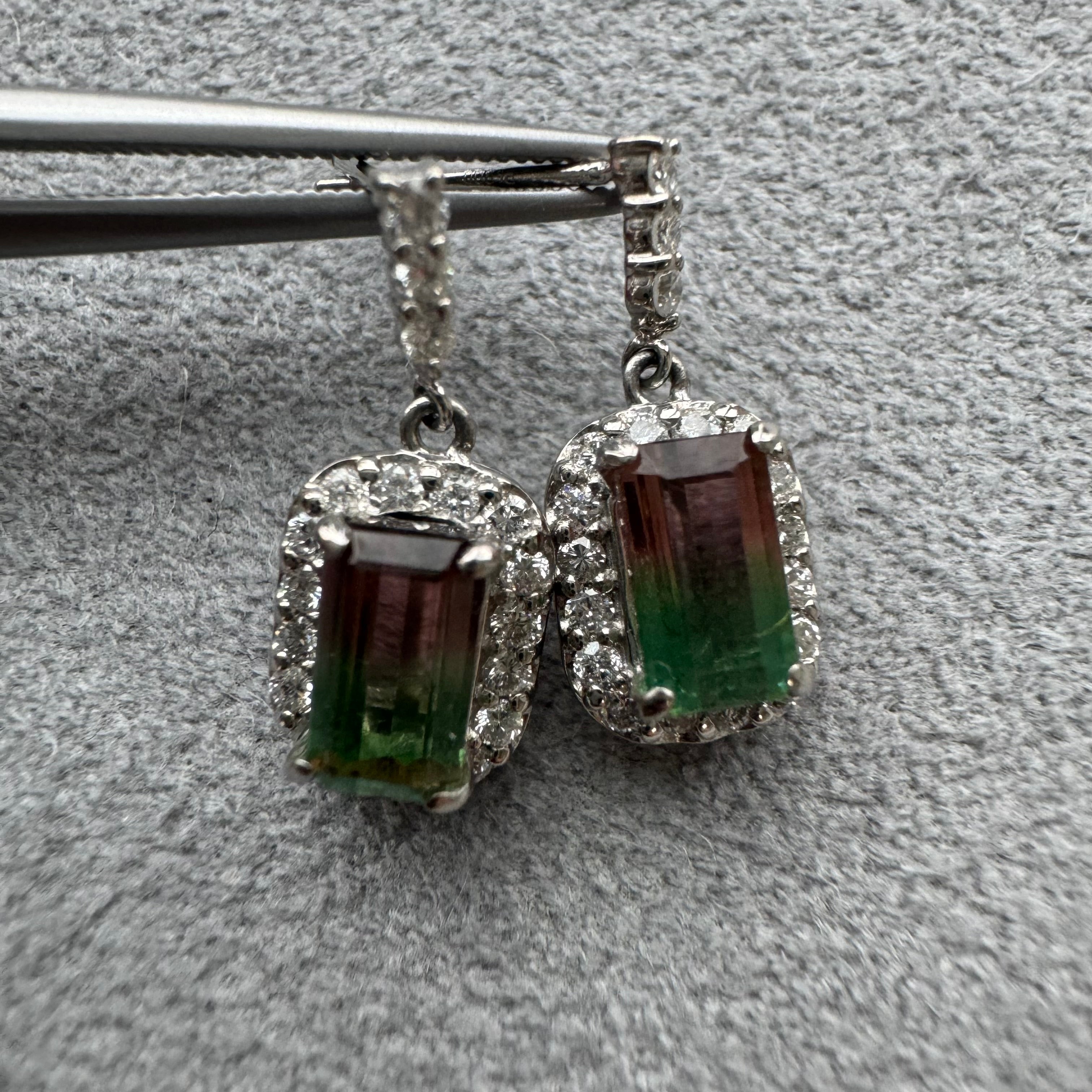 393-バイカラー トルマリン 0.9ct前後×2 SQ PT 揺れる ピアス〜バイカラーペアは希少！｜AYAKO SAKURAI（櫻井 彩子（サクライ アヤコ））公式通販サイト