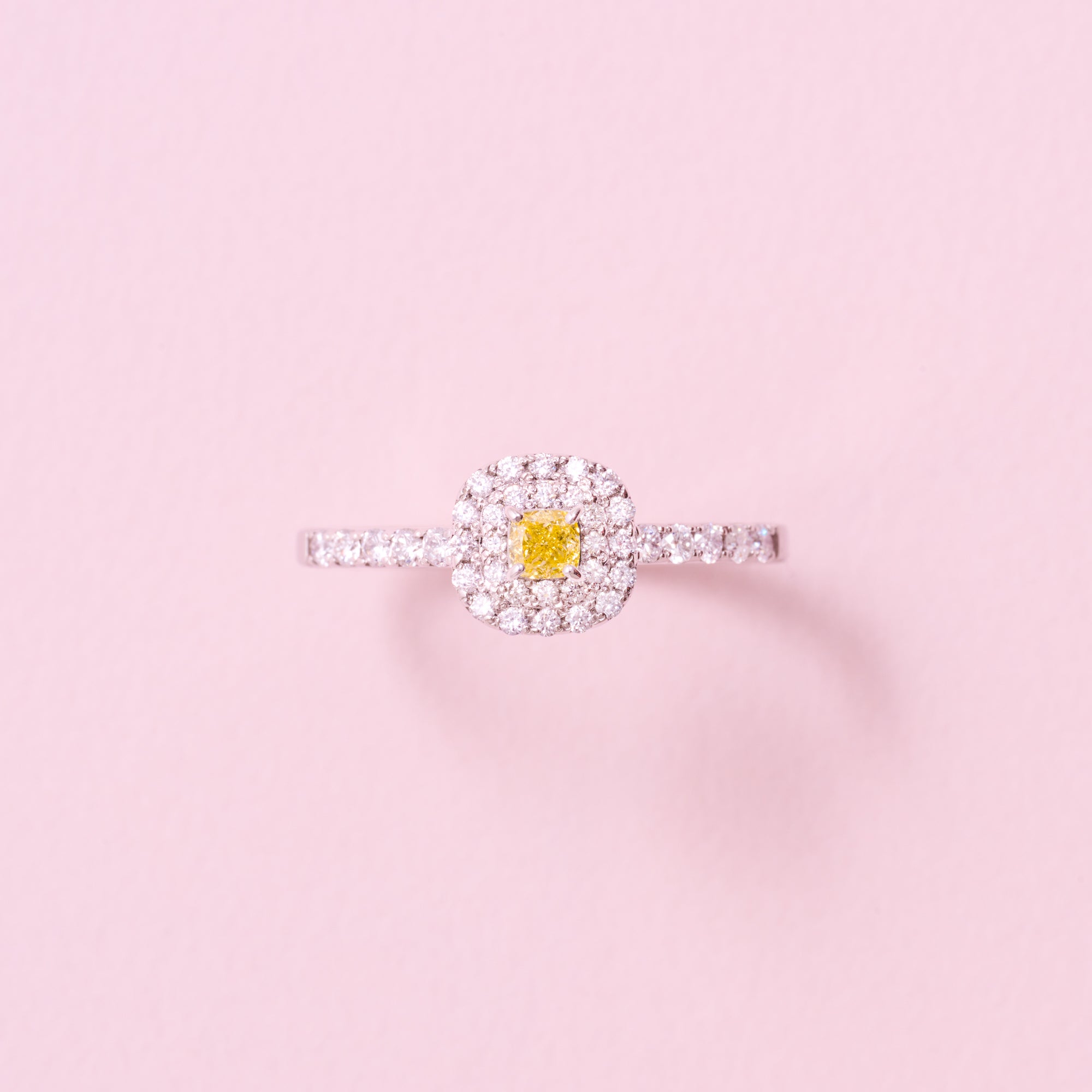 AYAKO SAKURAI（櫻井 彩子）公式サイト