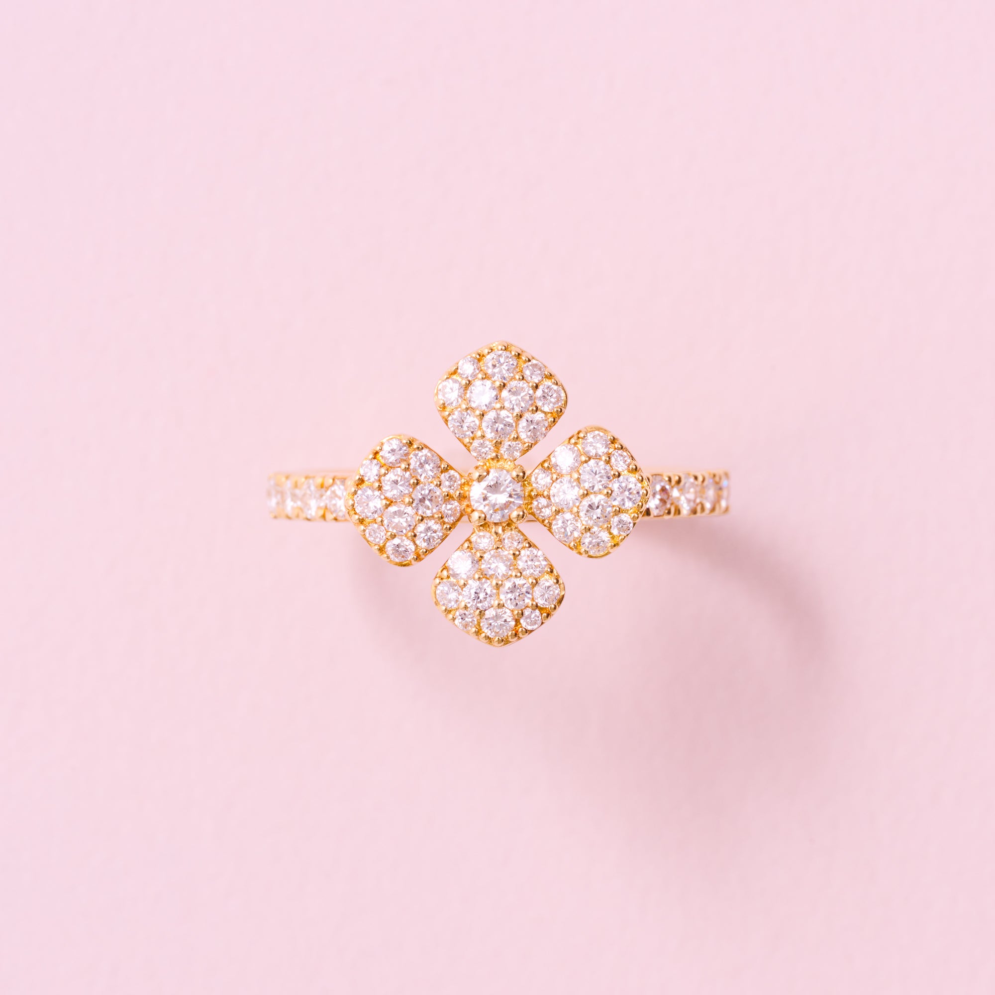 AYAKO SAKURAI（櫻井 彩子）公式サイト