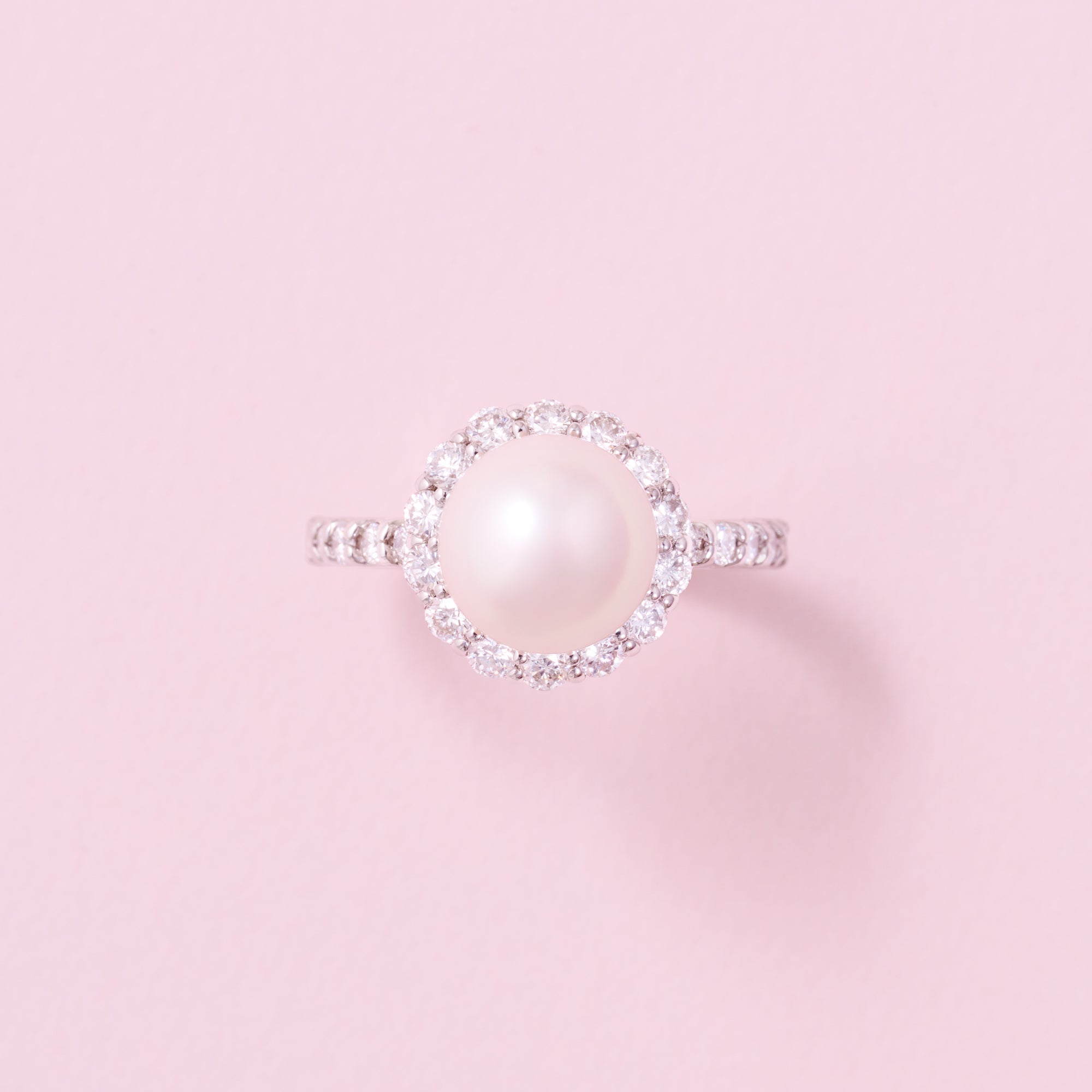 AYAKO SAKURAI（櫻井 彩子）公式サイト