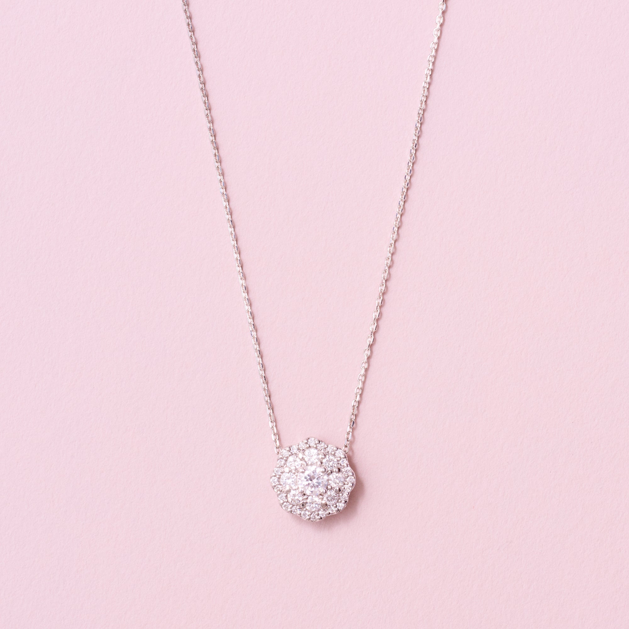 AYAKO SAKURAI（櫻井 彩子）公式サイト