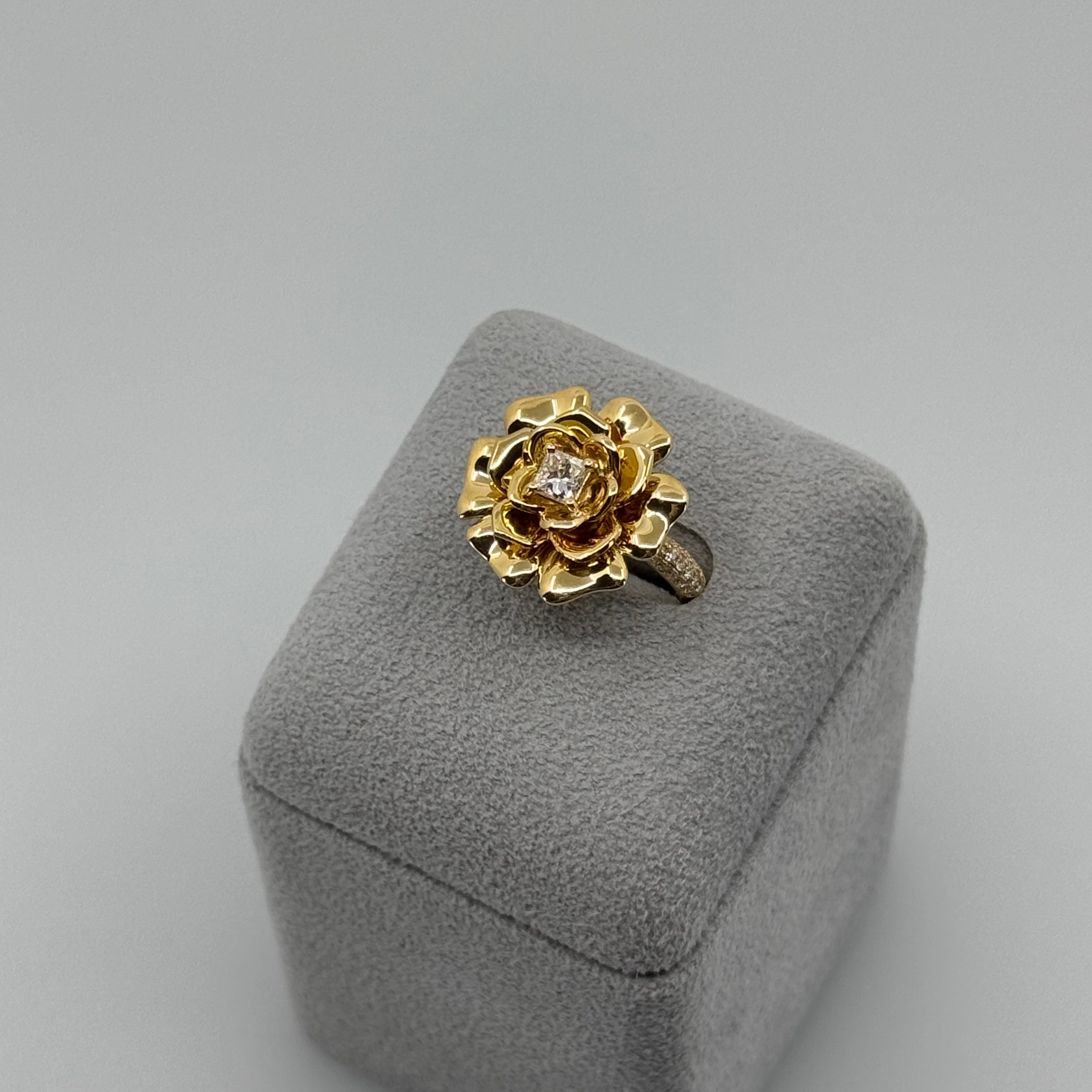 ［エデン］リング