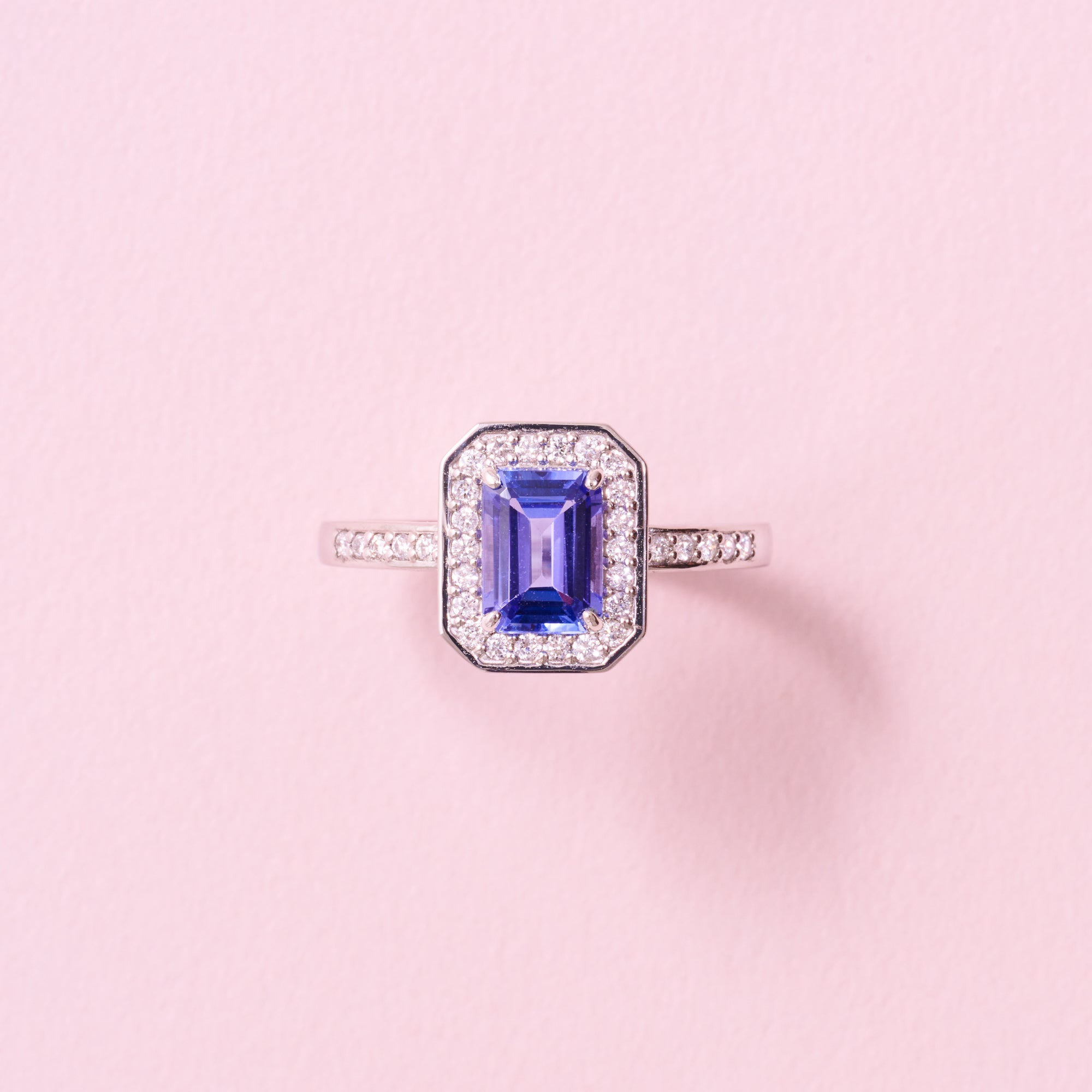 AYAKO SAKURAI（櫻井 彩子）公式サイト