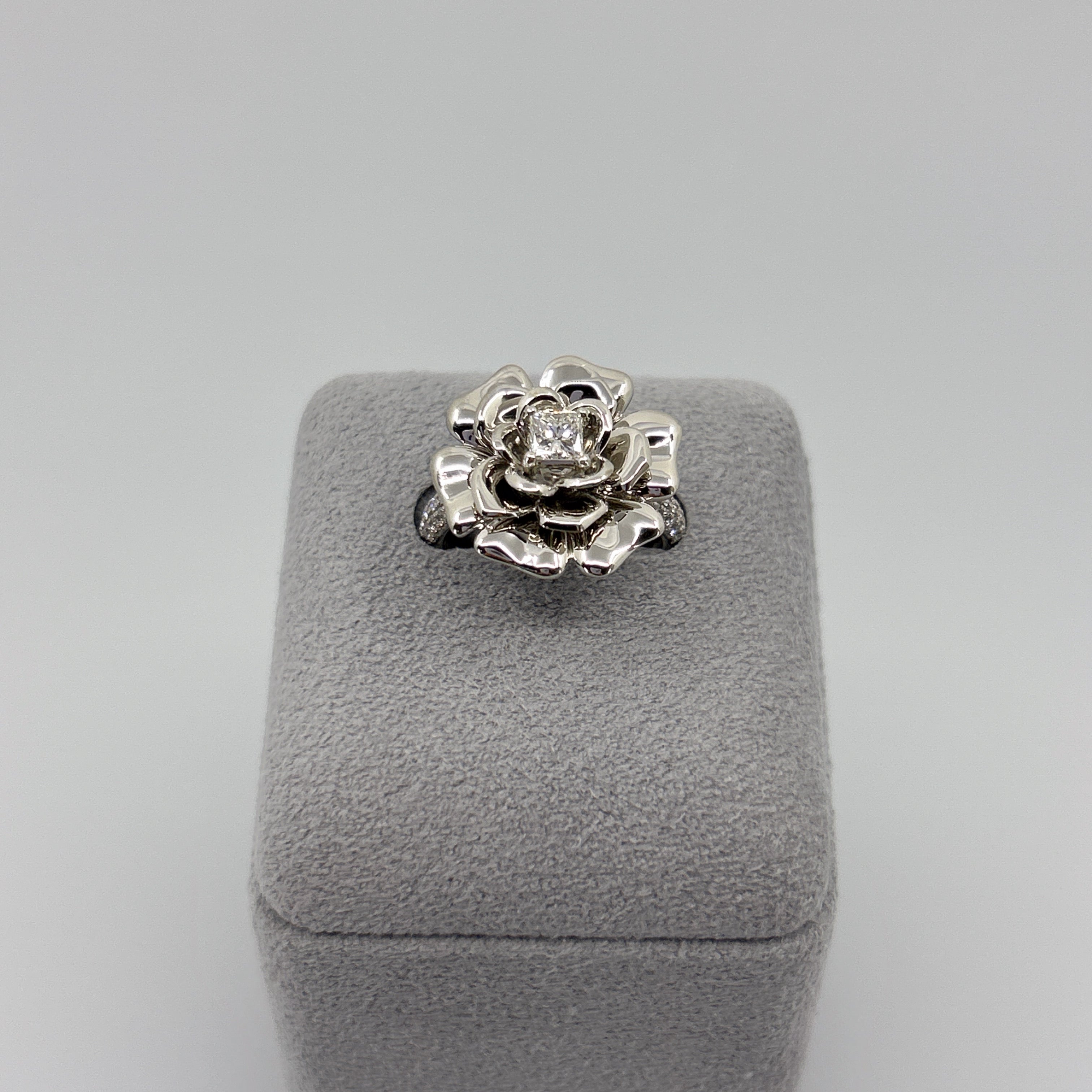 ［エデン］リング