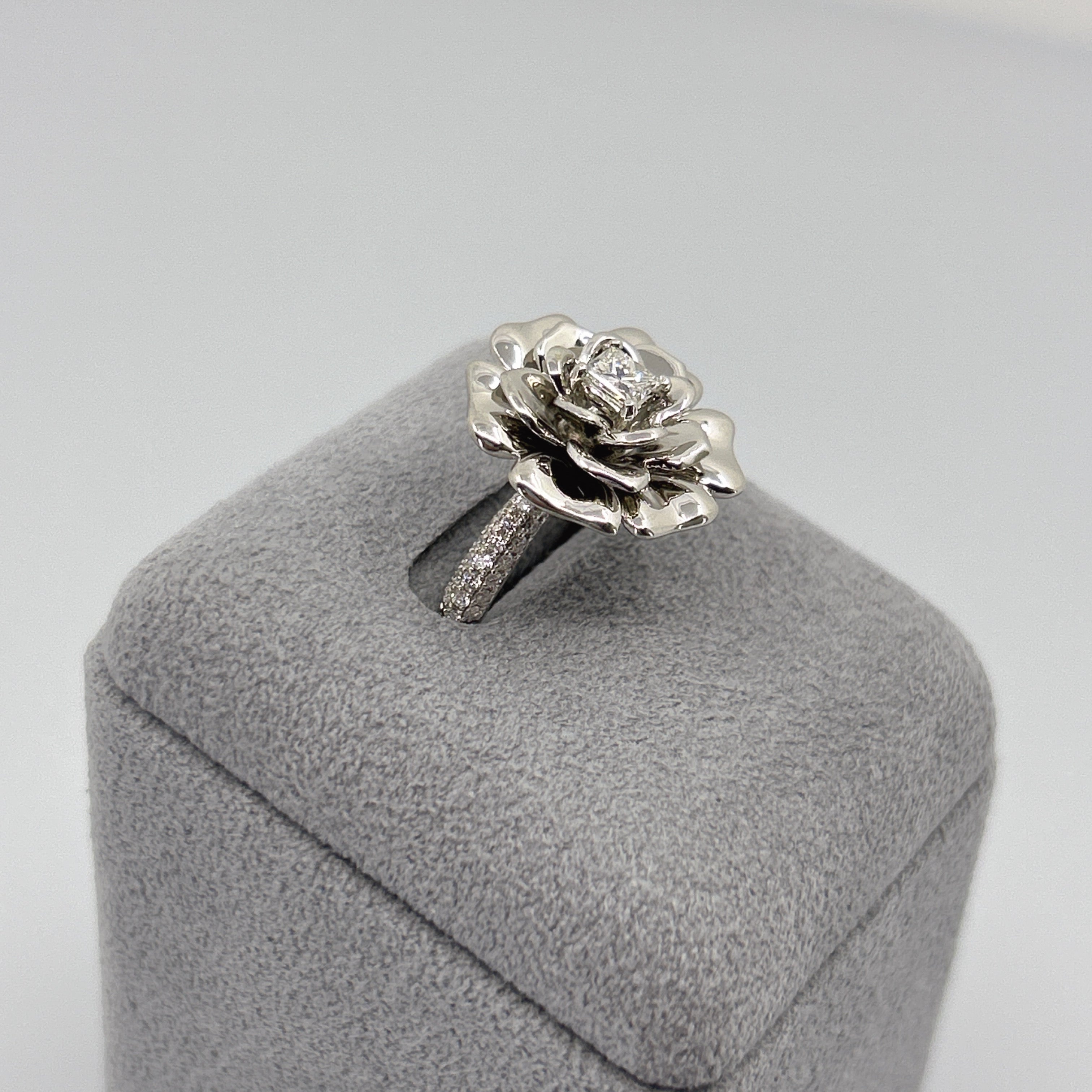 ［エデン］リング