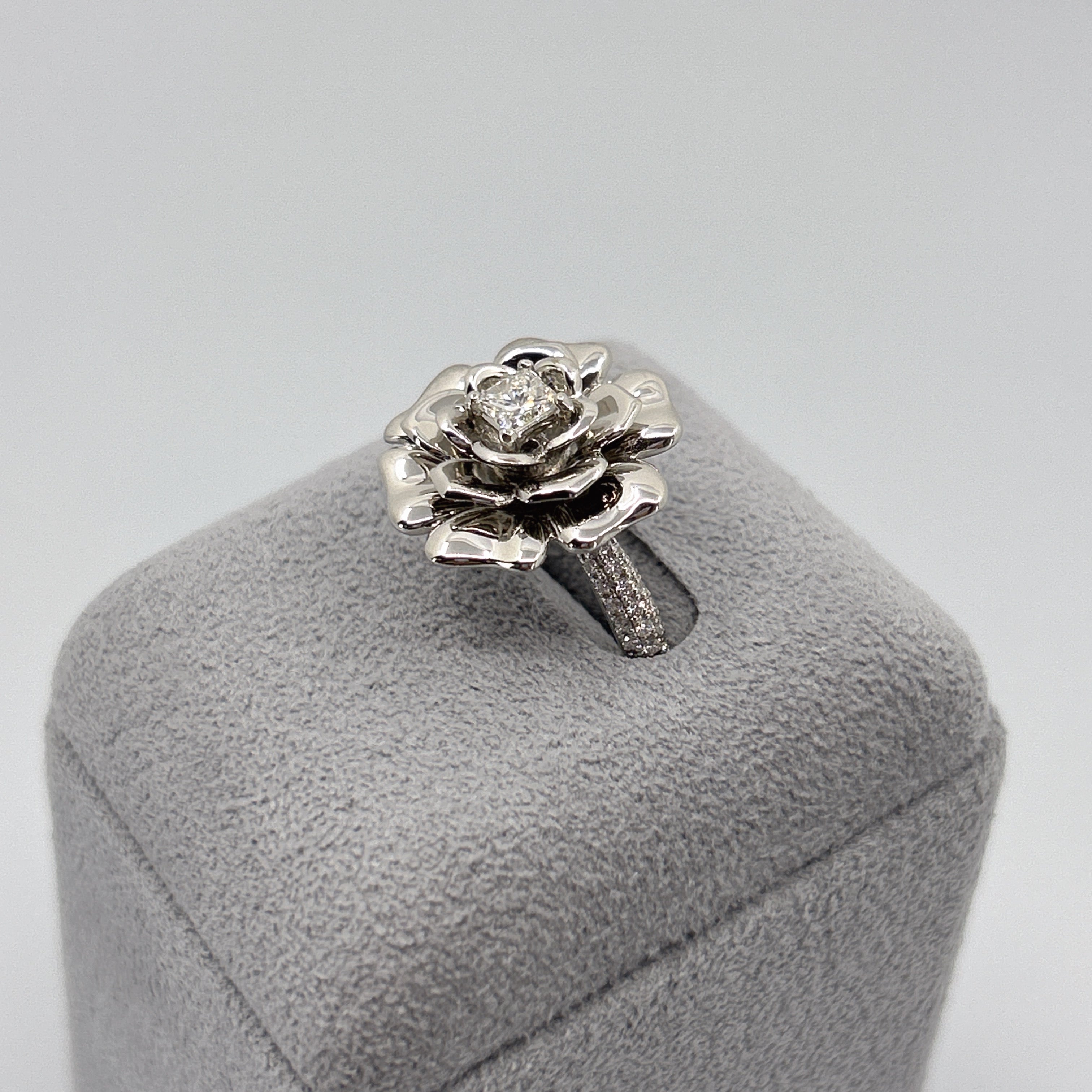 ［エデン］リング