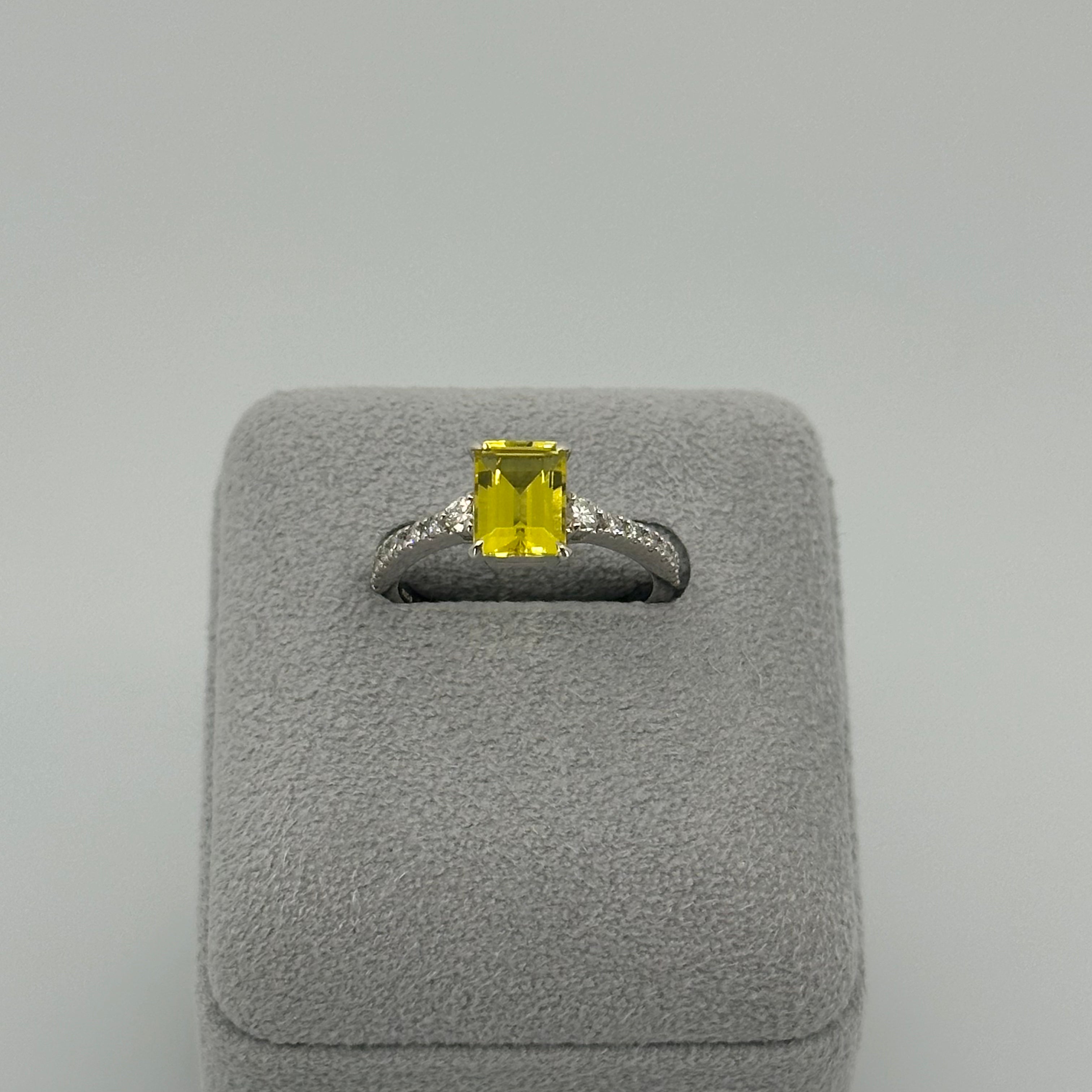 AYAKO SAKURAI（櫻井 彩子）公式サイト