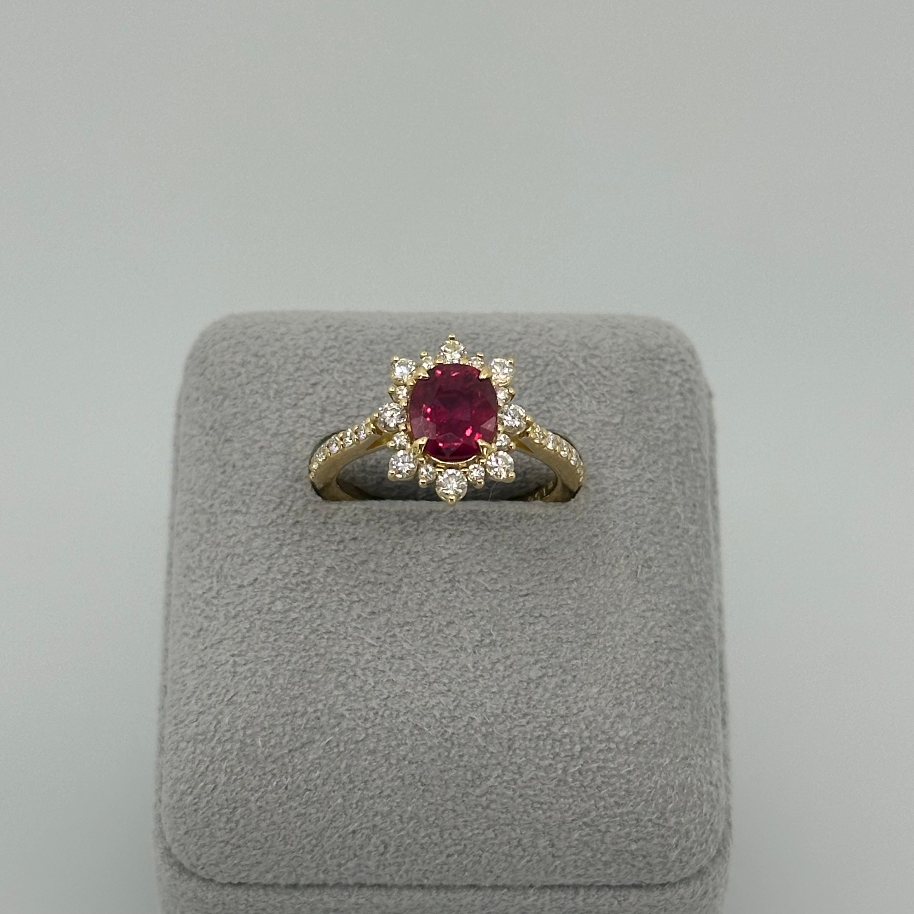 IMG_6799_dd2a62b5-fde1-408c- IMG_6799_dd2a62b5-fde1-408c-