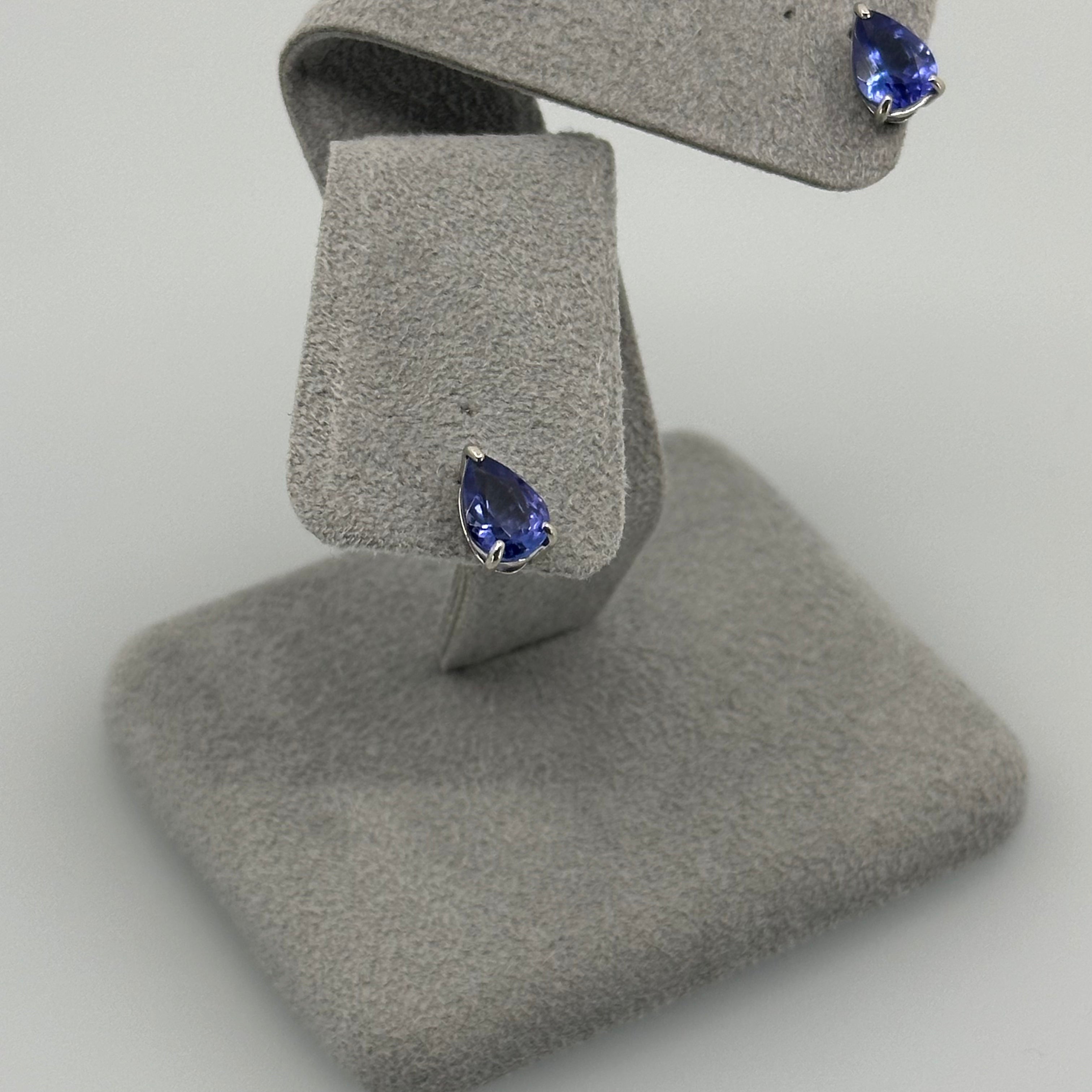 AYAKO SAKURAI（櫻井 彩子）公式サイト