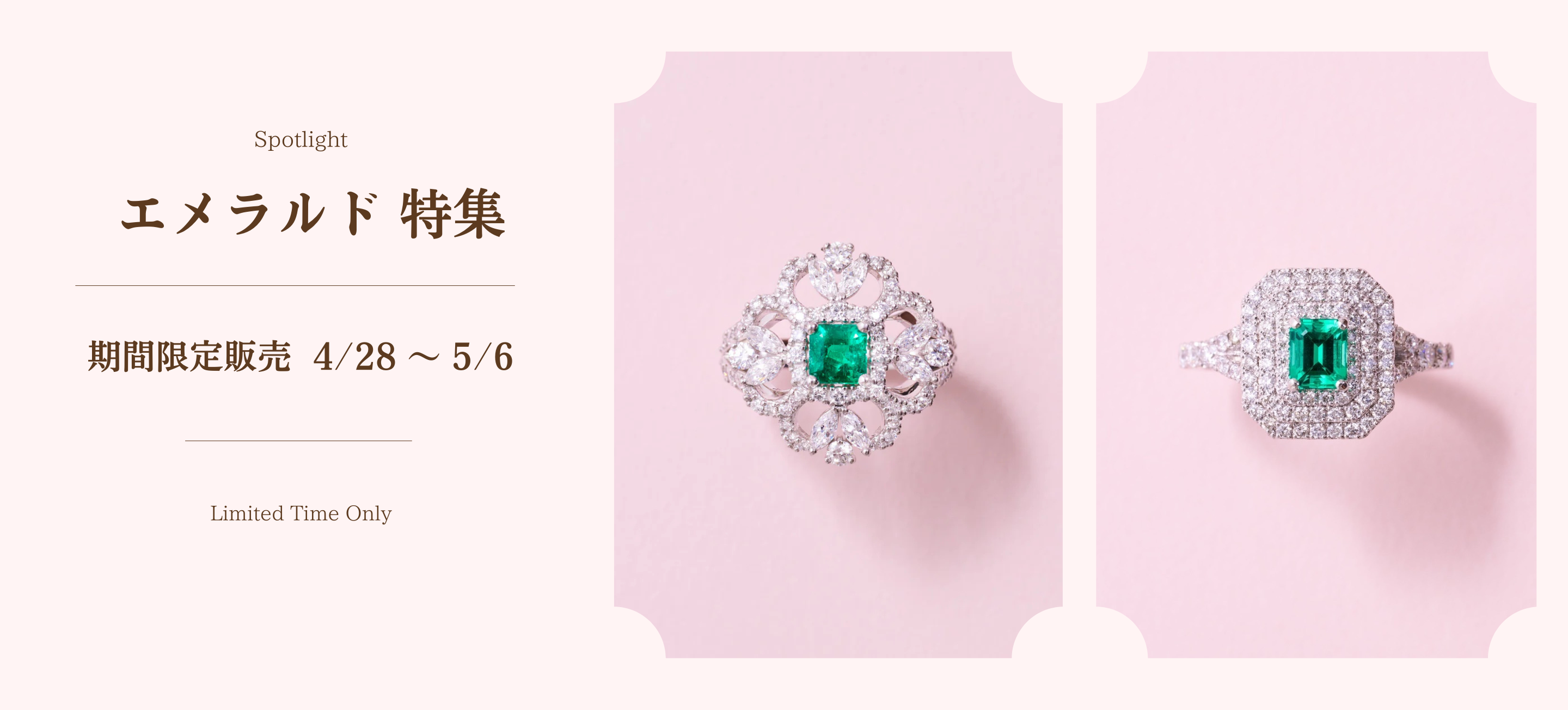AYAKO SAKURAI（櫻井 彩子）公式サイト
