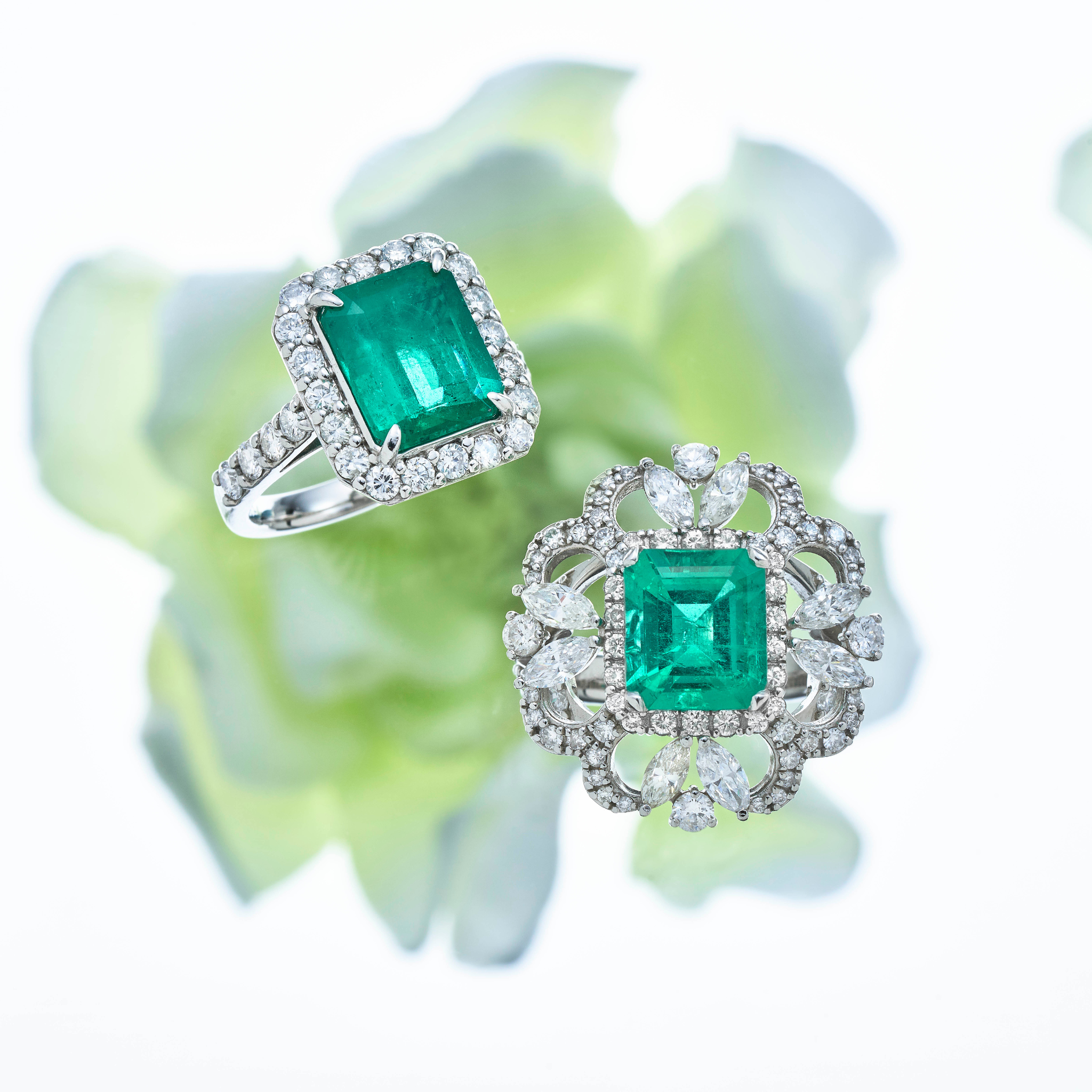 エメラルド – AYAKO SAKURAI(櫻井 彩子)公式サイト エメラルド – AYAKO SAKURAI(櫻井 彩子)公式サイト