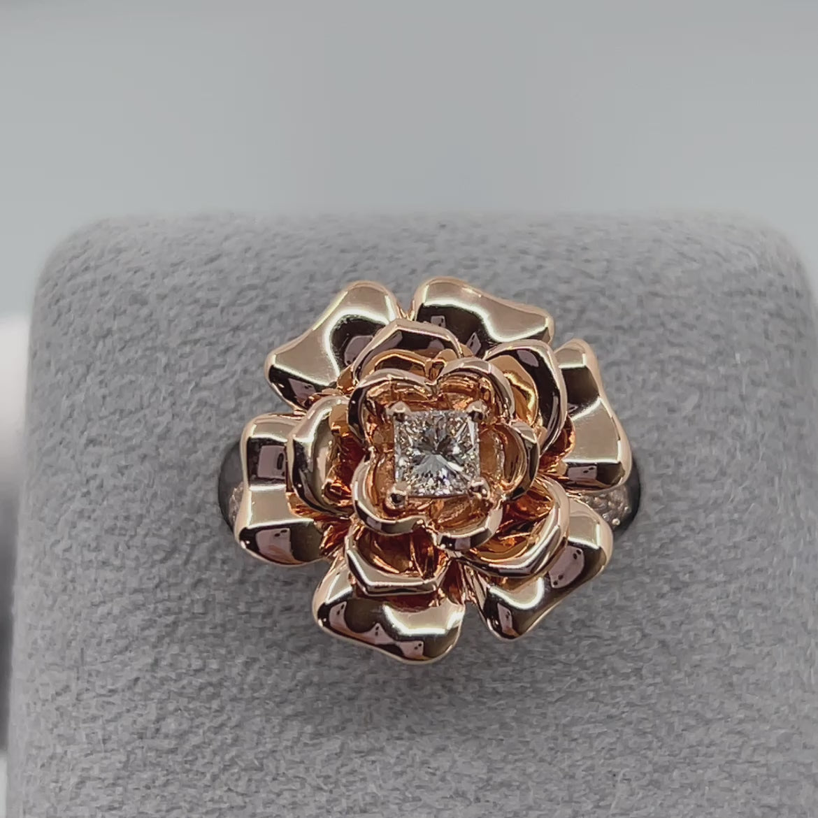 ［エデン］リング